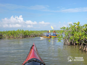Kayak in Sian Ka'an Kayak in Tulum Wetlands Sea Kayak & Snorkel Trip Detach