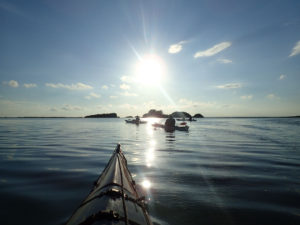 Kayak in Sian Ka'an Kayak in Tulum Wetlands Sea Kayak & Snorkel Trip Detach