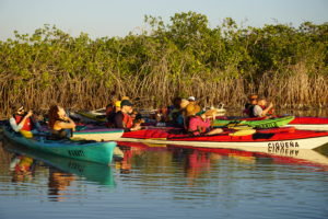 Kayak in Sian Ka'an Kayak in Tulum