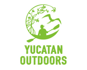 logo en colores