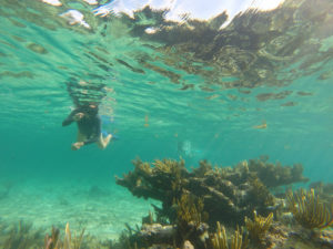Caribbean