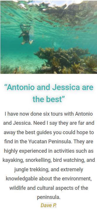 Customer testimonial