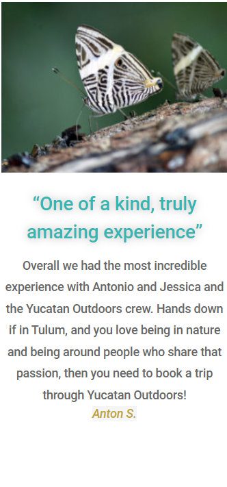 Customer testimonial