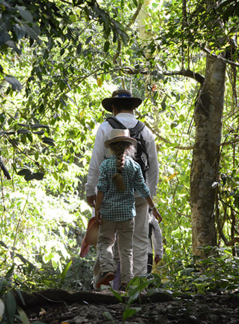 Hiking