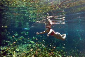 Snorkeling in the Caribbean. Cenotes & Mesoamerican Coral Reef