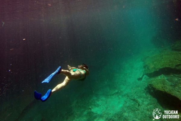 Snorkeling in the Caribbean. Cenotes & Mesoamerican Coral Reef