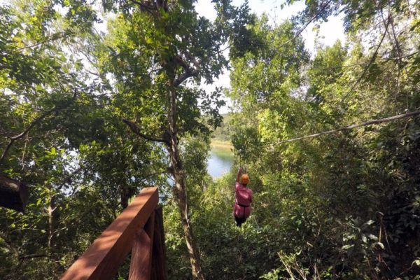 Wildlife Jungle Hiking Experience