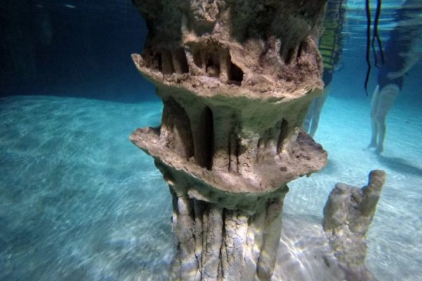 Snorkeling in the Caribbean. Cenotes & Mesoamerican Coral Reef