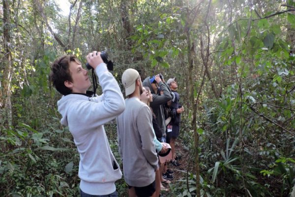 Jungle Biking Experience