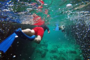 Snorkeling in the Caribbean. Cenotes & Mesoamerican Coral Reef