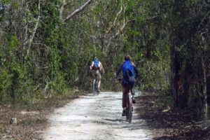 Jungle Biking Experience