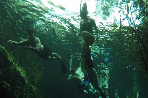 Snorkeling in the Caribbean. Cenotes & Mesoamerican Coral Reef