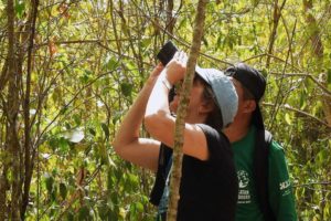 Jungle Birdwatching