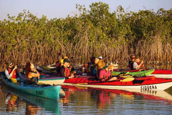 Wildlife Jungle Hiking Experience
