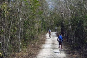 Jungle Biking Experience