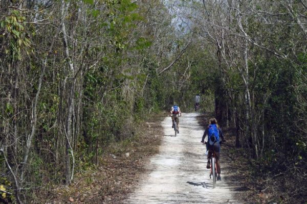 Jungle Biking Experience