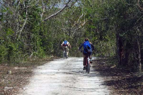 Jungle Biking Experience