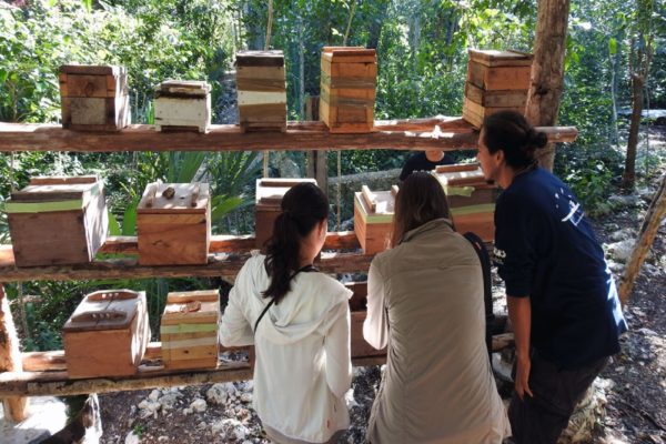 Wildlife Jungle Hiking Experience