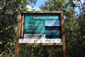 Wildlife Jungle Hiking Experience