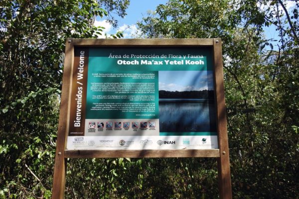Wildlife Jungle Hiking Experience