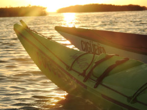 Kayak in Sian Ka'an Kayak in Tulum