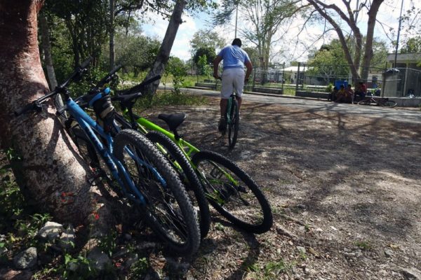 Jungle Biking Experience