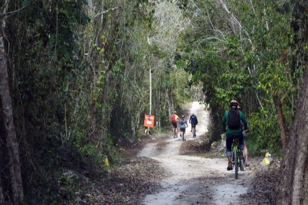 Jungle Biking Experience