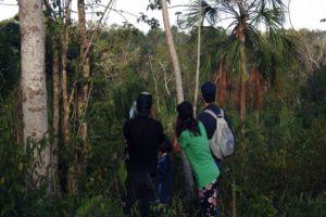 Jungle Birdwatching