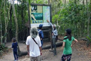 Jungle Birdwatching