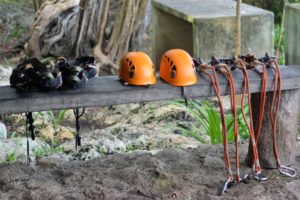 Wildlife Jungle Hiking Experience