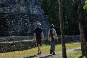 jungle birdwatching