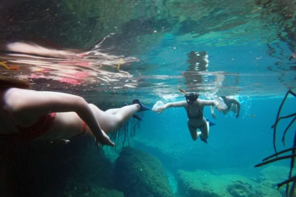 Snorkeling in the Caribbean. Cenotes & Mesoamerican Coral Reef