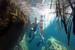 Snorkeling in the Caribbean. Cenotes & Mesoamerican Coral Reef