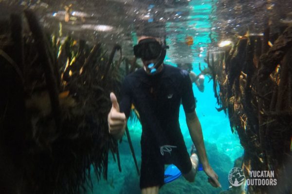 Snorkeling in the Caribbean. Cenotes & Mesoamerican Coral Reef
