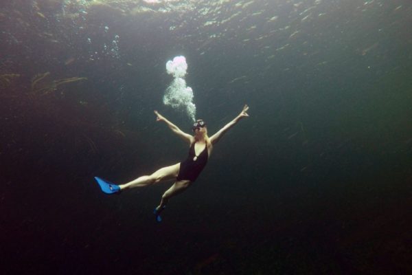 Snorkeling in the Caribbean. Cenotes & Mesoamerican Coral Reef