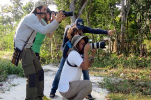 Jungle Birdwatching