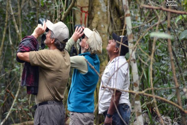 Wildlife Jungle Hiking Experience