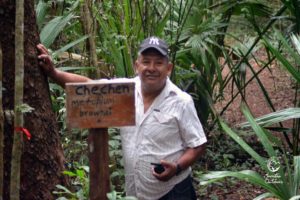 Jungle Biking Experience