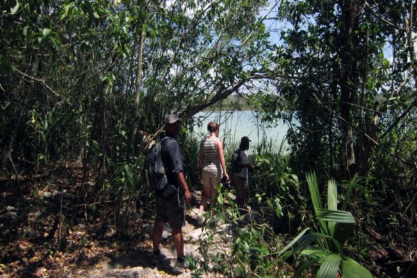 Jungle Biking Experience