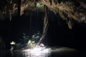 Snorkeling in the Caribbean. Cenotes & Mesoamerican Coral Reef