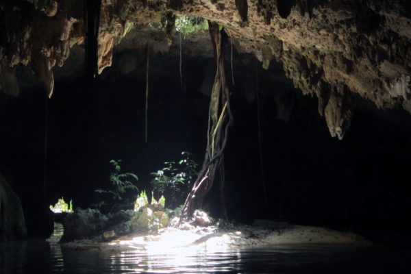 Snorkeling in the Caribbean. Cenotes & Mesoamerican Coral Reef