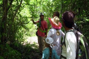 Jungle Biking Experience