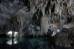 Snorkeling in the Caribbean. Cenotes & Mesoamerican Coral Reef