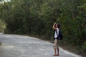 Jungle Birdwatching