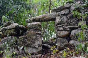 Wildlife Jungle Hiking Experience