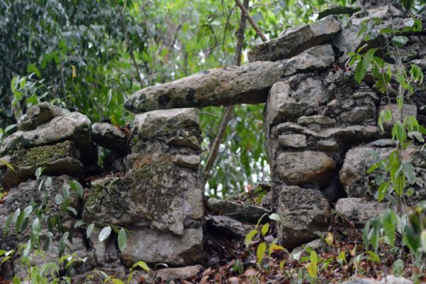 Wildlife Jungle Hiking Experience