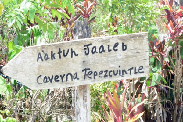 Jungle Biking Experience