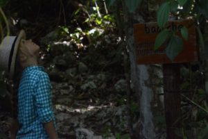 Wildlife Jungle Hiking Experience