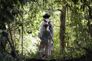 Wildlife Jungle Hiking Experience